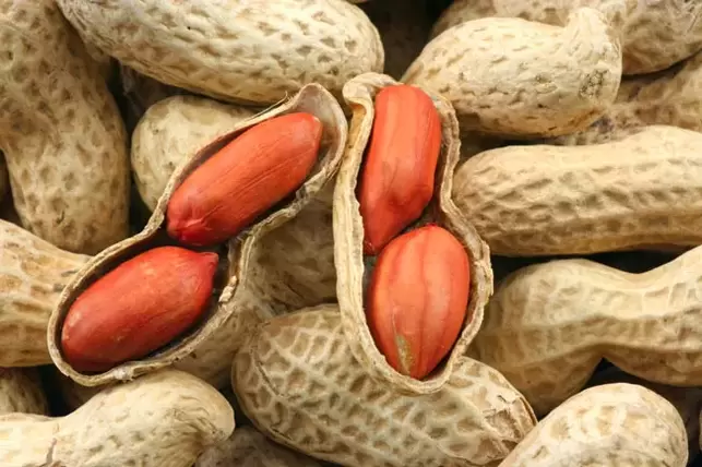 maapähkinöitä tehon parantamiseksi
